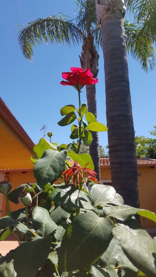 הוילה Le Rose Di מודיקה מראה חיצוני תמונה